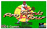 Pro Tennis Tour DOS Game