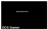 RoboRaider DOS Game
