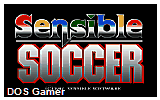 Sensible Soccer European Champions DOS Game